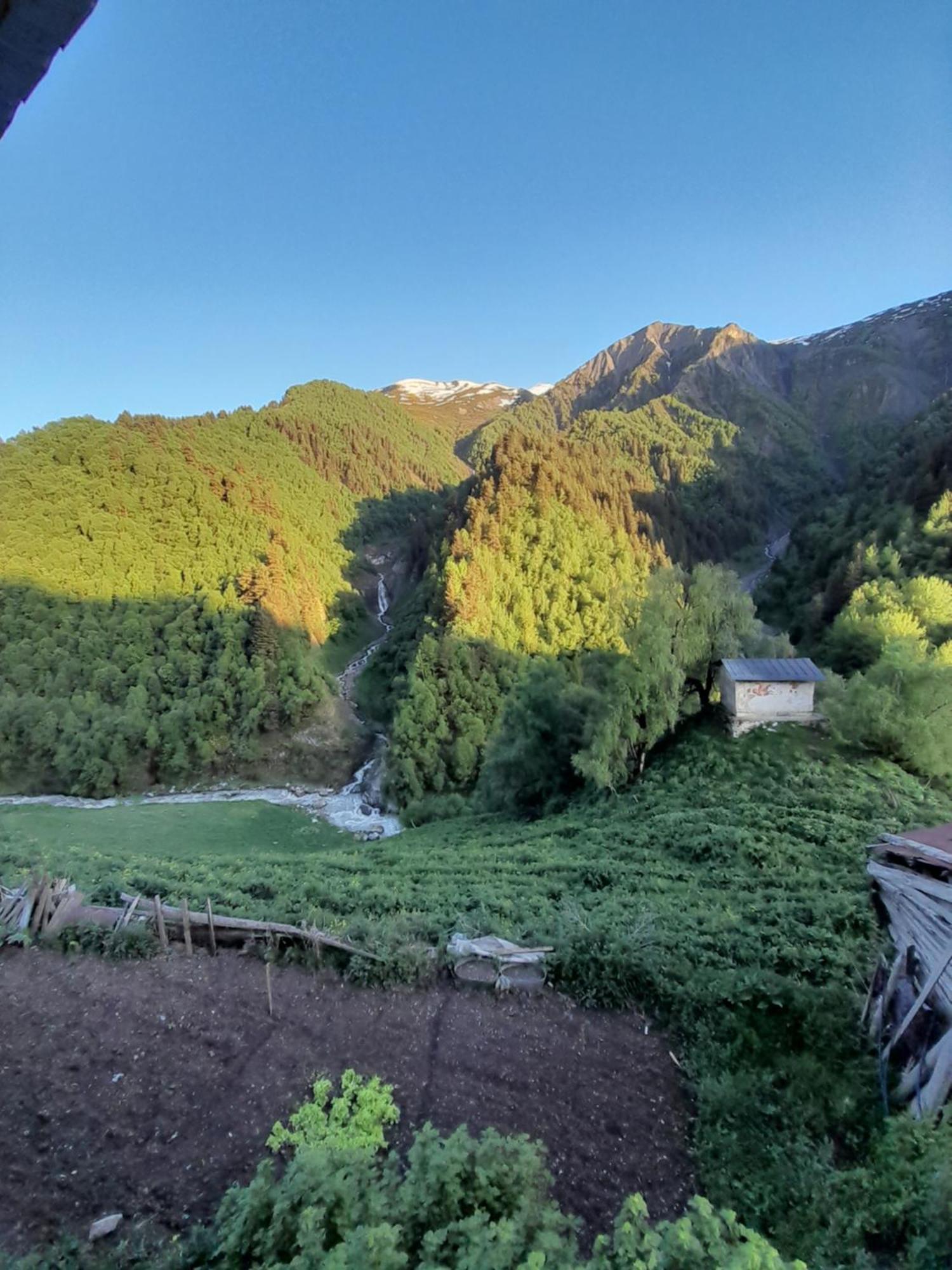 Adishi Guest House Zhora Kaldani Zewnętrze zdjęcie