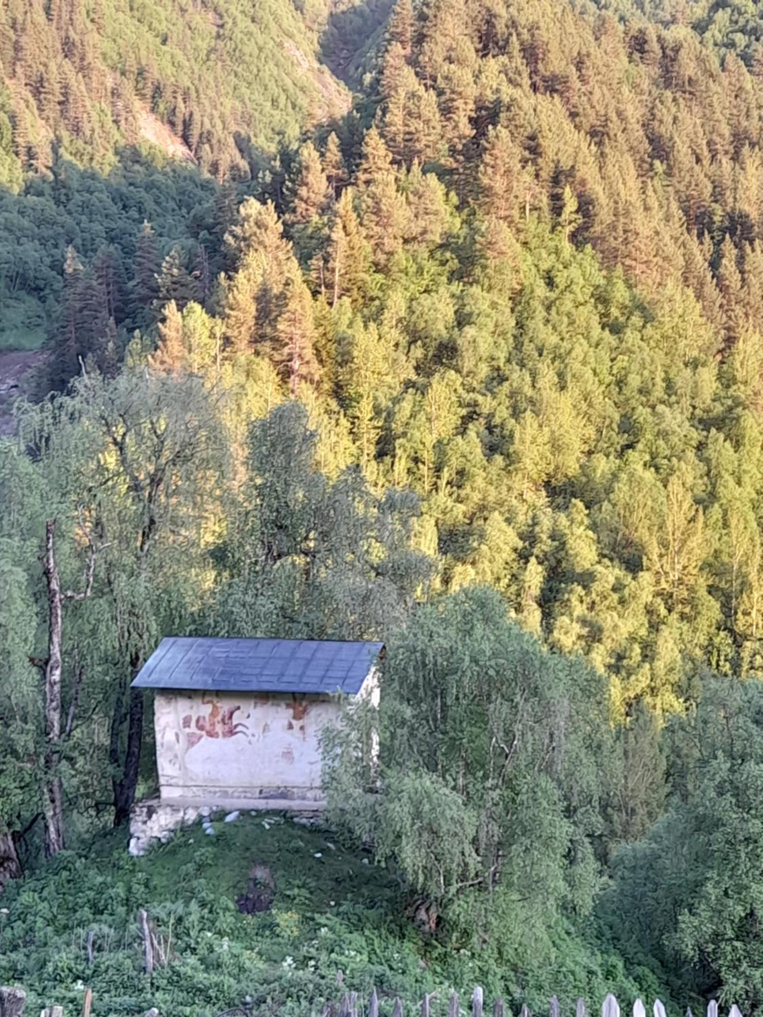 Adishi Guest House Zhora Kaldani Zewnętrze zdjęcie